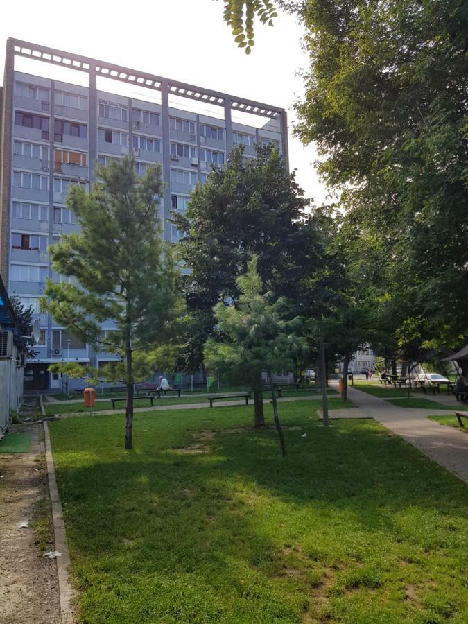 Studio Central Piatra Neamt Bagian luar foto
